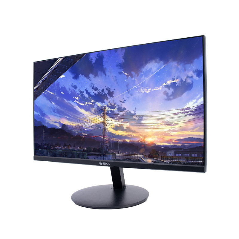 Monitor TEROS 2130CS 21.5' 100HZ 5MS IPS FULL HD HDMI VGA VESA