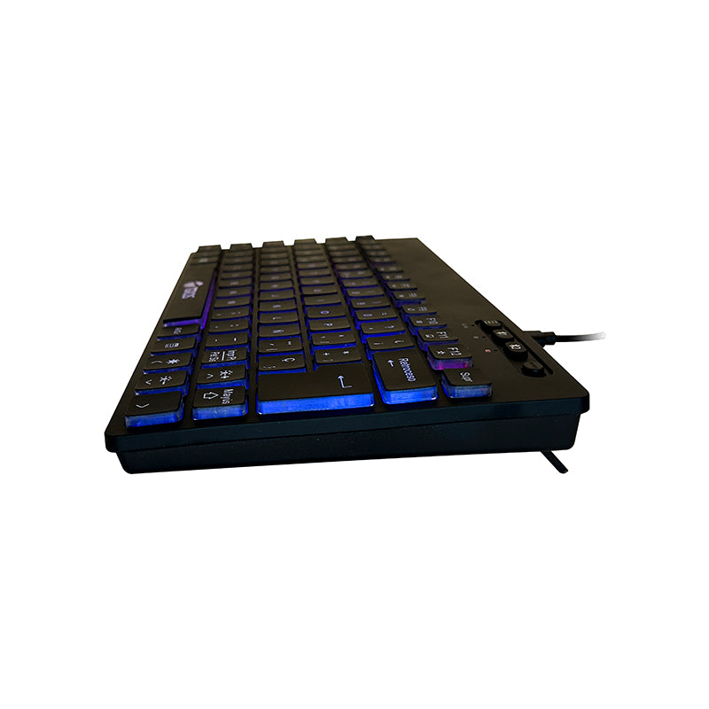 TECLADO GAMER TE-4066G ESPAÑOL NEGRO ILUMINADO INALAMBRICO