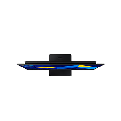 Monitor Samsung LS24D300GALXPE 24' IPS FHD 100HZ HDMI VGA