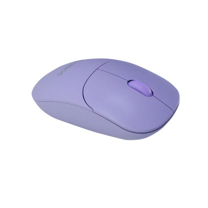 MOUSE OPTICO INALAMBRICO TEROS TE-1219S 1000 Dpi USB 2.4 GHZ